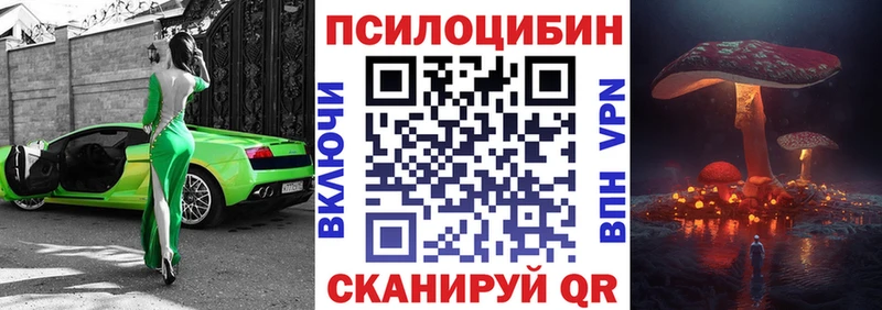 Купить закладки  Рыбное  Галлюциногенные грибы Cubensis 